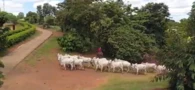 Fazenda em Minas Gerais