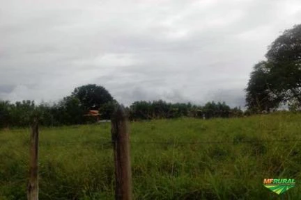 Fazenda em Ibotirama - Ba com escritura