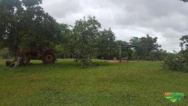 Fazenda próxima a cidade de Rondonópolis