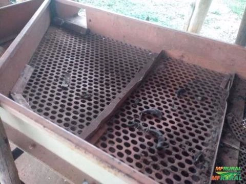 Imagem LAVADOR SEPARADOR DE CAFÉ Imagem LAVADOR SEPARADOR DE CAFÉ