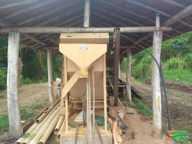 LAVADOR SEPARADOR DE CAFÉ Imagem LAVADOR SEPARADOR DE CAFÉ