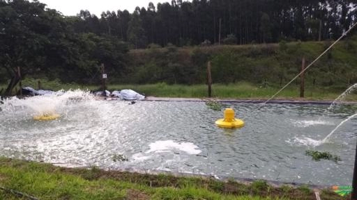 Imagem Aerador Chafariz WEEMAC Imagem Aerador Chafariz WEEMAC