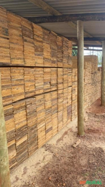 Imagem Peroba Cupiuba Imagem Peroba Cupiuba