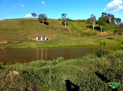 Área 70.000 ( setenta mil ) alqueires (  MATA ATLÂNTICA ) s.p.