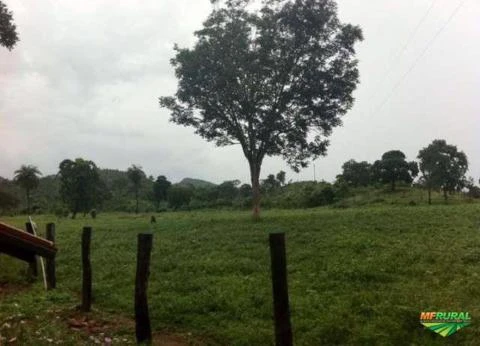 Espetacular fazenda de 716 ha em Goias