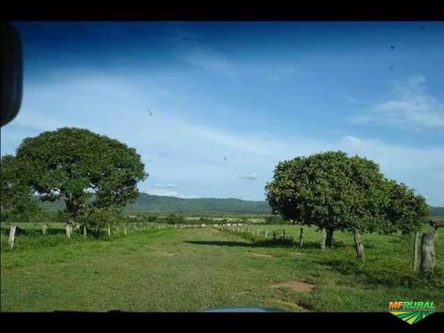 Imperdivel oferta fazenda super barata 1.040alq sul do Tocantins