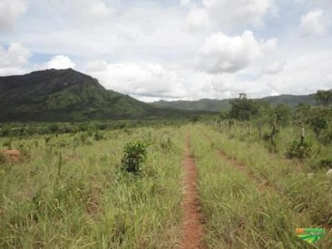 Fazenda La Luna