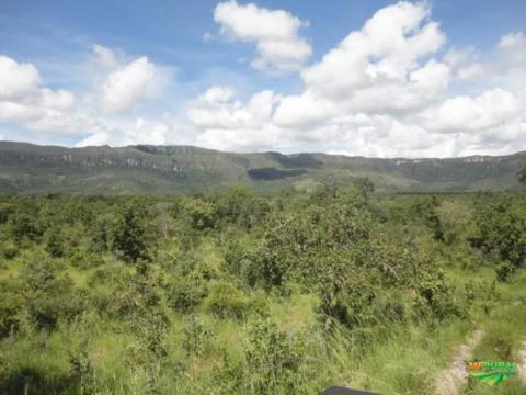 Fazenda La Luna