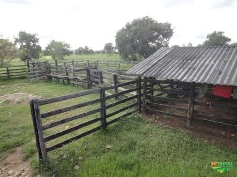 Fazenda La Luna