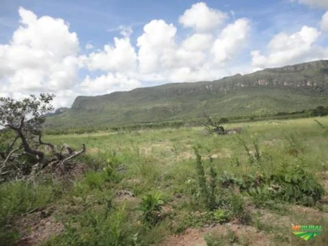 Fazenda La Luna