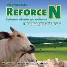 REFORCE N-  UREIA PECUÁRIA