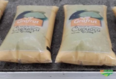 Polpas de cupuaçu Imagem Polpas de cupuaçu