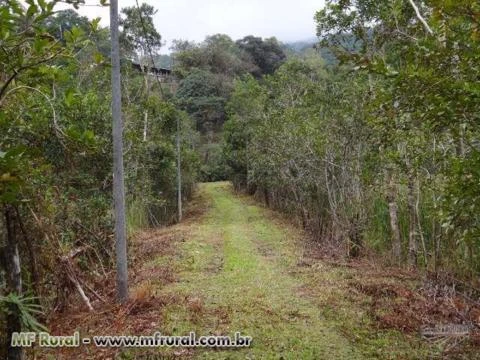 Venda Hotel Fazenda Corcovado em Guaraqueça