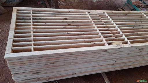 Madeira de Pinus para fabricação de portas Imagem Madeira de Pinus para fabricação de portas