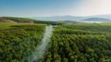 Drone Agrícola de Pulverização de 50 litros Imagem Drone Agrícola de Pulverização de 50 litros
