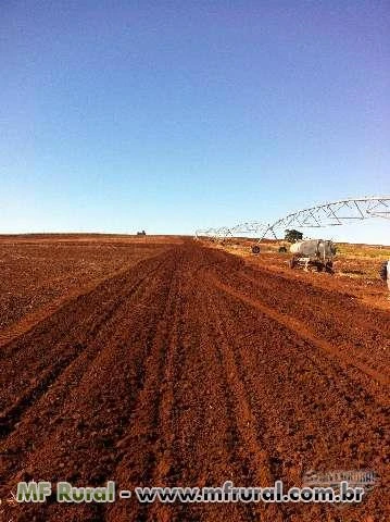 manutenção e assistência pivor irrigação