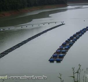 Depoimento de anúncio vendido Depoimento de anúncio vendido