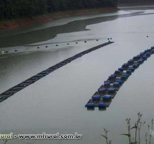 Depoimento de anúncio vendido Depoimento de anúncio vendido