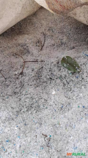 Imagem COMPRA DE SUCATA DE PET – Flakes de Pet,Pó de Flake e Rejeitos! Imagem COMPRA DE SUCATA DE PET – Flakes de Pet,Pó de Flake e Rejeitos!