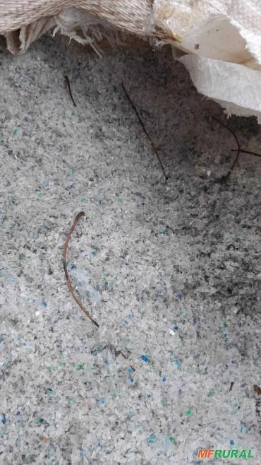 Imagem COMPRA DE SUCATA DE PET – Flakes de Pet,Pó de Flake e Rejeitos! Imagem COMPRA DE SUCATA DE PET – Flakes de Pet,Pó de Flake e Rejeitos!