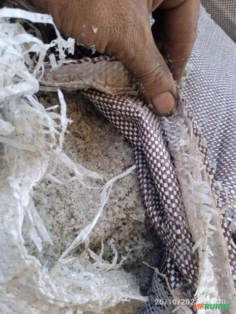 Imagem COMPRA DE SUCATA DE PET – Flakes de Pet,Pó de Flake e Rejeitos! Imagem COMPRA DE SUCATA DE PET – Flakes de Pet,Pó de Flake e Rejeitos!