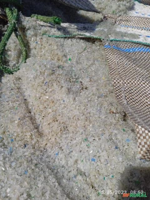 Imagem COMPRA DE SUCATA DE PET – Flakes de Pet,Pó de Flake e Rejeitos! Imagem COMPRA DE SUCATA DE PET – Flakes de Pet,Pó de Flake e Rejeitos!