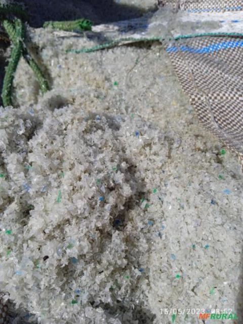 Imagem COMPRA DE SUCATA DE PET – Flakes de Pet,Pó de Flake e Rejeitos! Imagem COMPRA DE SUCATA DE PET – Flakes de Pet,Pó de Flake e Rejeitos!