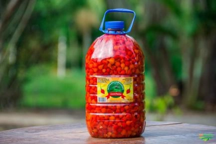 Imagem Pimenta biquinho Imagem Pimenta biquinho
