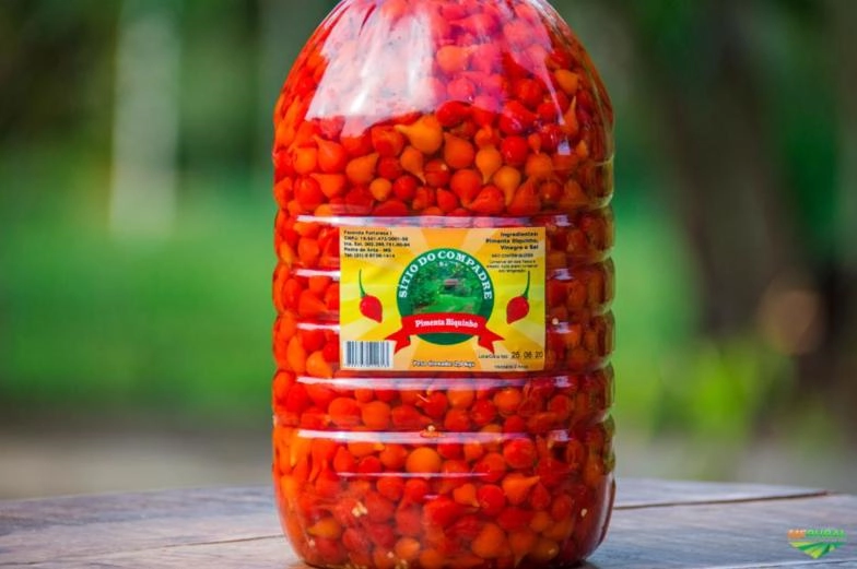 Pimenta biquinho Imagem Pimenta biquinho