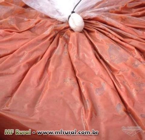 POLPA DE GOIABA Imagem POLPA DE GOIABA