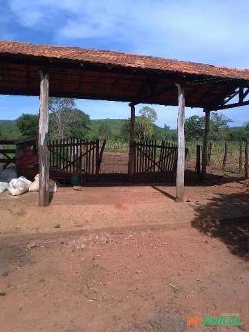 Fazenda com 280 hectares no centro-norte de Minas Gerais