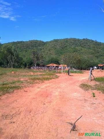Fazenda com 280 hectares no centro-norte de Minas Gerais