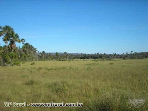 Procuro investidor Imagem Procuro investidor