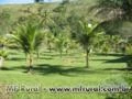 FAZENDA NO RIO DE JANEIRO PARA GANHAR DINHEIRO