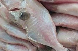 Peixe | Preço Venda Compra - MF Rural