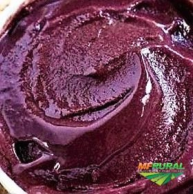 Açaí Premium Pote 10 Litros Imagem Açaí Premium Pote 10 Litros