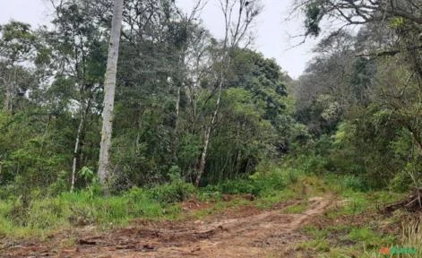 Terreno com 19 Alqueires - A beira da Rod. 476 km 98 Bocaiúva do Sul - PR