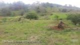 Sitio de 21 hectares em Natividade - RJ