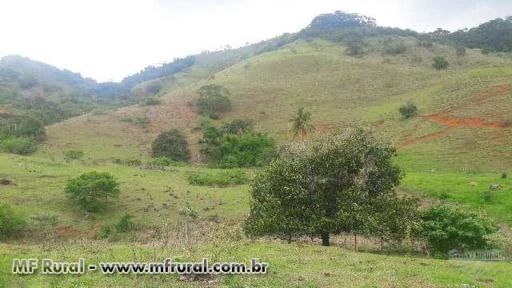 Sitio de 21 hectares em Natividade - RJ