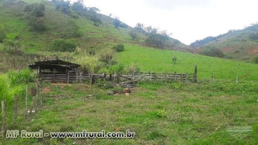 Sitio de 21 hectares em Natividade - RJ