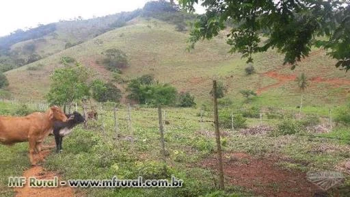 Sitio de 21 hectares em Natividade - RJ