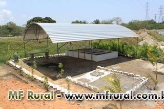 Humos de Minhoca Imagem Humos de Minhoca