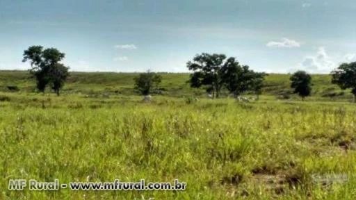 Fazenda em Jaíba - Norte de Minas