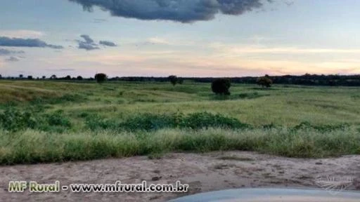 Fazenda em Jaíba - Norte de Minas