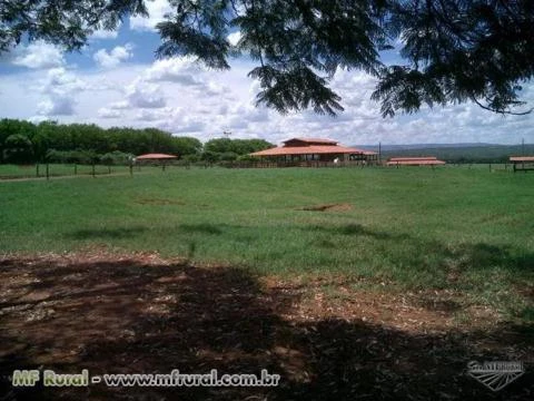 Vendo Fazenda 1200ha Norte de Minas - Estrada BH - Montes Claros