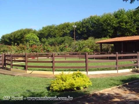 Vendo Fazenda 1200ha Norte de Minas - Estrada BH - Montes Claros