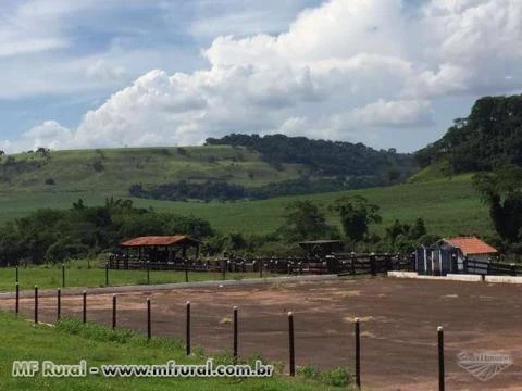 Fazenda Região de Ribeirão Preto-SP