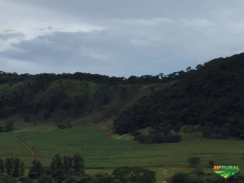 Vendo Fazenda Região de Ribeirão Preto - Direto Com o Proprietário