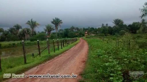 Fazenda em Presidente Vargas e Bom Jardim - Maranhão