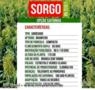 SORGO IPA731011 Imagem SORGO IPA731011